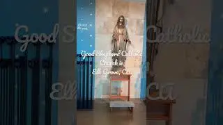 Light, airy modern church in Elk Grove, CA. #relaxation #shorts #catholic #church