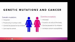 Somatic mutation vs Germline Mutation