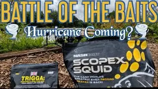 NUTRABAITS TRIGGA VS NASH SCOPEX SQUID @sifishes