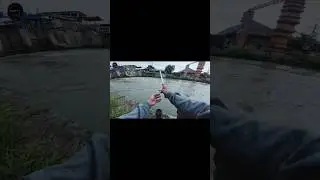 fishing bait in the river #fishing #fishingfish #surefire #shorts #short #shortvideo