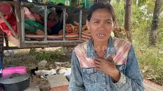 Cambodian evacuees continue to fill camps near the border with Thailand