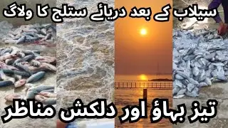 Darya Satluj Travel Vlog After Flood | Tez Pani Aur Khoobsurat Nazare | Padhyar Vibes With Usman