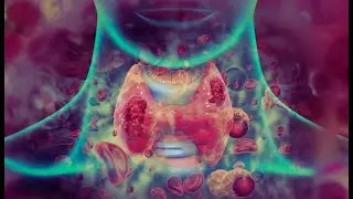 Quantum Thyroid Resonance | A Sonic Exploration for Inner Balance & Vitality