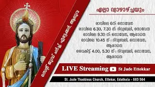 വി.യൂദാശ്ലീഹായോടുള്ള നൊവേന, ആരാധന