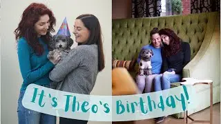 Our Dog Theo is Turning Seven! - Birthday Vlog | MARRIED LESBIAN COUPLE | Lez See the World