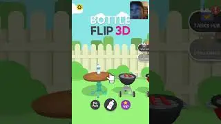 lets play bottle flip 3D
