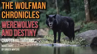 The Wolfman Chronicles - WEREWOLVES AND DESTINY - Chapter 11 #werewolf #wolfman  #thailand
