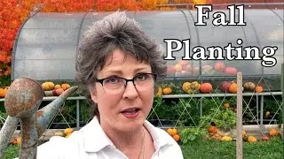 Time to plant fall garden! What are we growing?