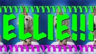 HAPPY BIRTHDAY ELLIE! - EPIC Happy Birthday Song