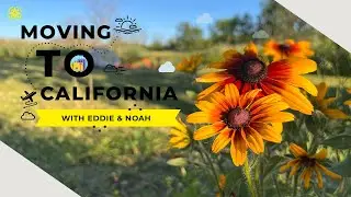 I Moved to California!