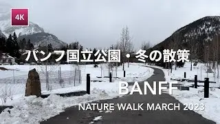 [4K Walk] 🇨🇦 Banff Winter Walk, Bow Falls, Bow River Trail, Canadian Rockies | カナダ・バンフ