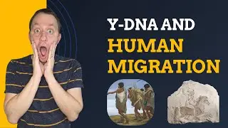 Y-DNA and Human Migration