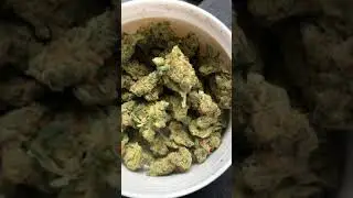 Sour Pink Grapefruit- Cresco