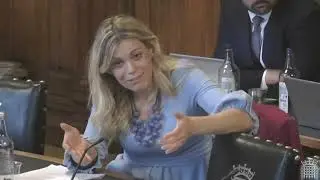 education select committee  Jane Harris Supercut 2023