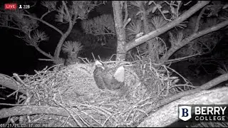 Berry College Eagles~The Flying Squirrel is Back-Slo-Mo_1.21.21