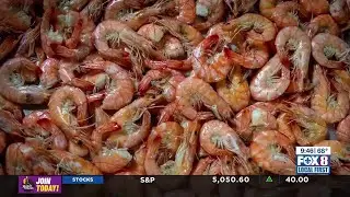 Plaquemines Parish Seafood Fest