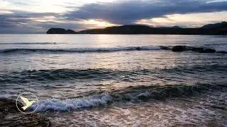 Sunset Ocean Waves Crashing on Driftwood 🌊 Calm Sea Sounds for Deep Sleep | 4K