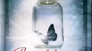 # Beautiful Disaster H&ouml;rbuch 1 #