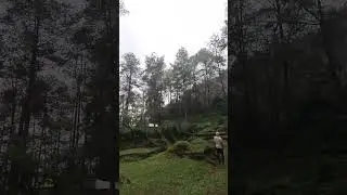 PASIR SUMBUL CAMPGROUND ‼️‼️ʜᴇɴɪɴɢ... #asmr #puresound #pasirsumbul #insta360 #instax360