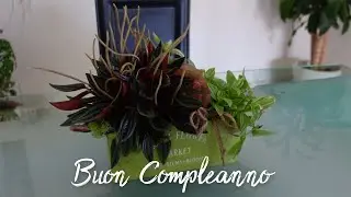 Week end di compleanno ♡