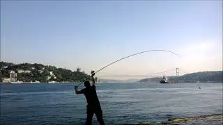Daiwa SUNDOWNER 35-405S side casting