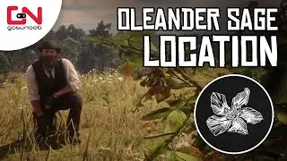 Oleander Sage RDR2 Online - 5 Oleander Sage Picked Location - Daily Challenge