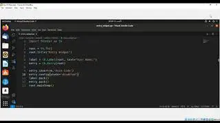 Python Tkinter Entry Widget