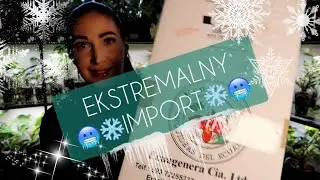 ECUAGENERA !!!  🫣🥶❄️😱IMPORT PRZEZ MROZY I ZASPY! SZCZYT SCZYTÓW...🫨