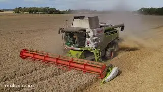 4Kᵁᴴᴰ Harvest 2023: CSA Farm's Claas Lexion 750 TT combine working near Saxted in Suffolk