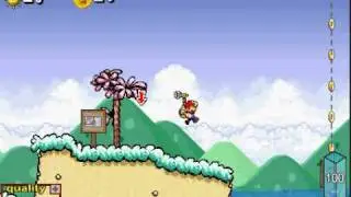 Super mario 63 How to beat with one shine sprite