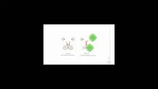 Enlace Covalente Polar vs No Polar: Comparaci&oacute;n Clara y R&aacute;pida&rdquo;. #apolar#enlace#covalente#electrones