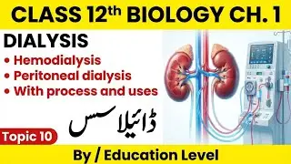 Everything About Dialysis | Class 12 Biology Quick Guide