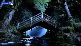 Piano Sleep Music + River Sound ✧ Night Forest Relaxing Blue Night Ambience ✧ 12 Hours
