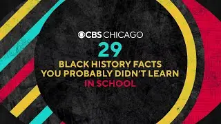 29 Black History Facts You Probably Didn't Learn at School:  Lesson 19
