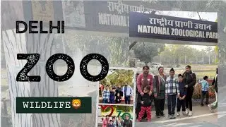NATIONAL ZOOLOGICAL PARK🐅😍DELHI KA ZOO (CHIDIYAGHAR)😢|ZOO LOGICAL PARK DELHI 🦅🦉