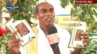 Farmer Got Huge loss Due to Fake Seeds in Gutur
