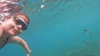 Snorkeling at Costa Teguise, near Neptuno Suites hotel