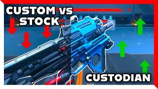 CUSTODIAN SMG Loadout  -  EVERYTHING You Need to Know