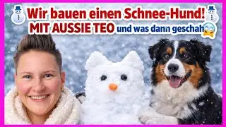 ⛄️WIR BAUEN EINEN SCHNEE-HUND⛄️ MIT AUSSIE TEO und was dann geschah 😱