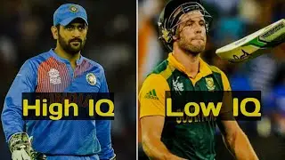 Top 5 Low Iq video (@Cric12-n )