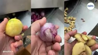 Potato Peeler Machine | Ginger Peeler Machine | Onion Peeler Machine @peeler @potatopeeler