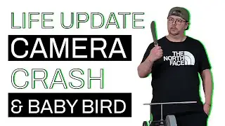 💣Life Update: Smashed Camera, 🦜Sick Parrot, and a Quick Knife Sharpen