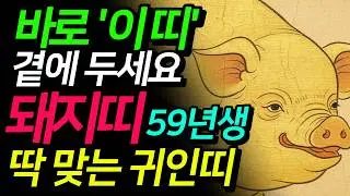 (충격 반전) 59년 돼지띠 2026 반드시 '이 띠'를 옆에 두세요 고생한 기해생을 평안과 풍요로 채워줄 귀한 인연은?
