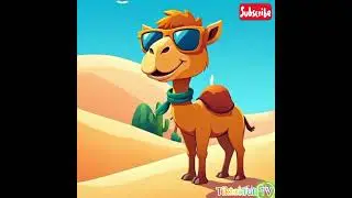 camel song