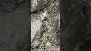 Insane Blue Sapphire Found While Digging in Sri Lanka!