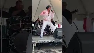 Elvis Presley Heartbreak Hotel Cover