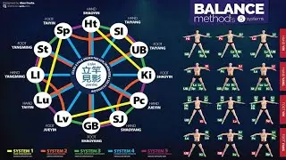 TAN BALANCE METHOD ACUPUNCTURE