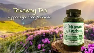 Toxaway Tea ~ Nuwati Herbals