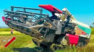 Super Efficient Rice Harvester KUBOTA &ndash; Next Level Farming Technology! Best Skill Operator View