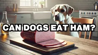 Can Dogs Eat Ham? Explained